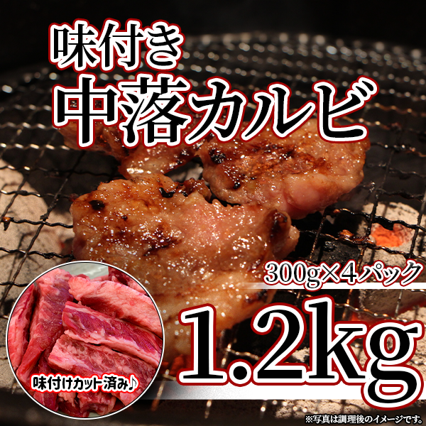 【焼肉の定番！】中落ちカルビ1.2kg