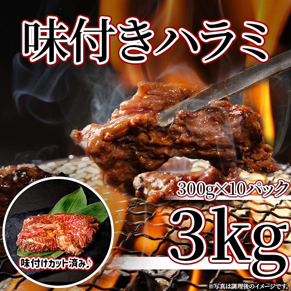 無限ハラミ３kg【人気No.1！】